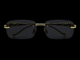 Gafas Jaguar Negro